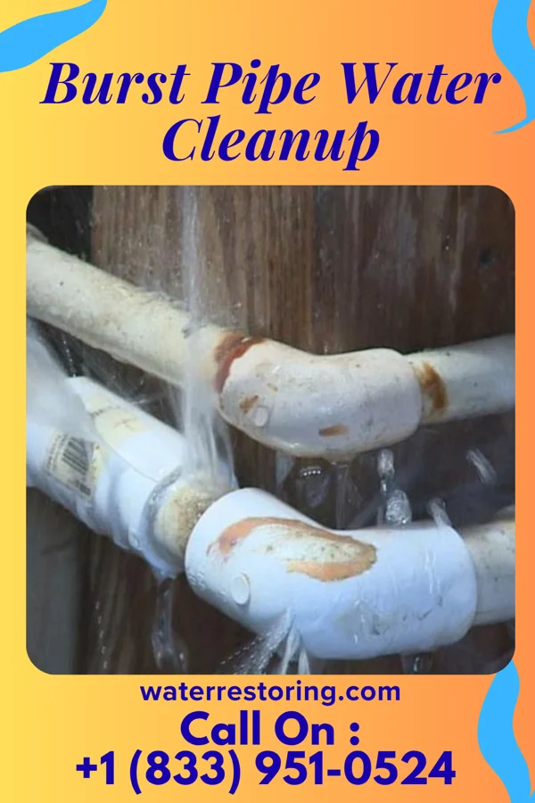 Burst Pipe Water Cleanup in Ashburn, GA