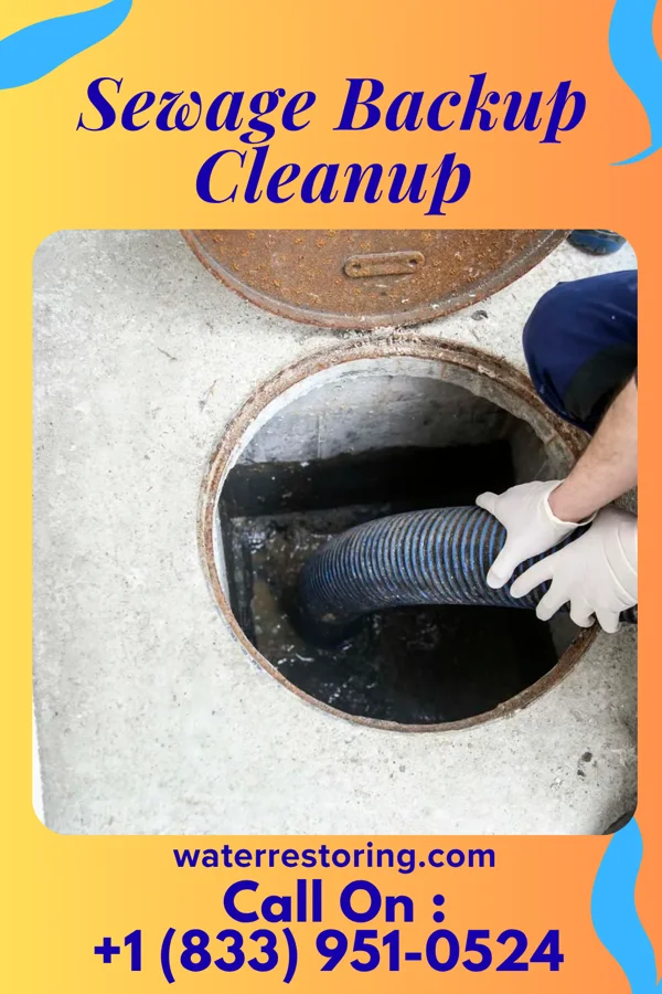 Sewage Backup Cleanup in Ashburn, GA