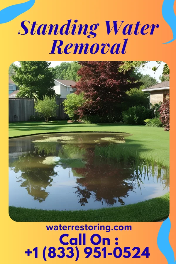 Standing Water Removal in Ashburn, GA